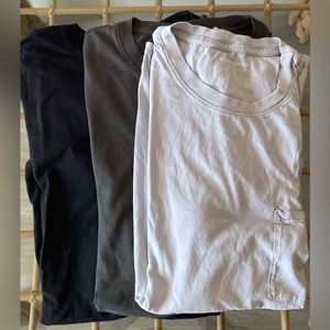 3 Large Everlane t-shirts